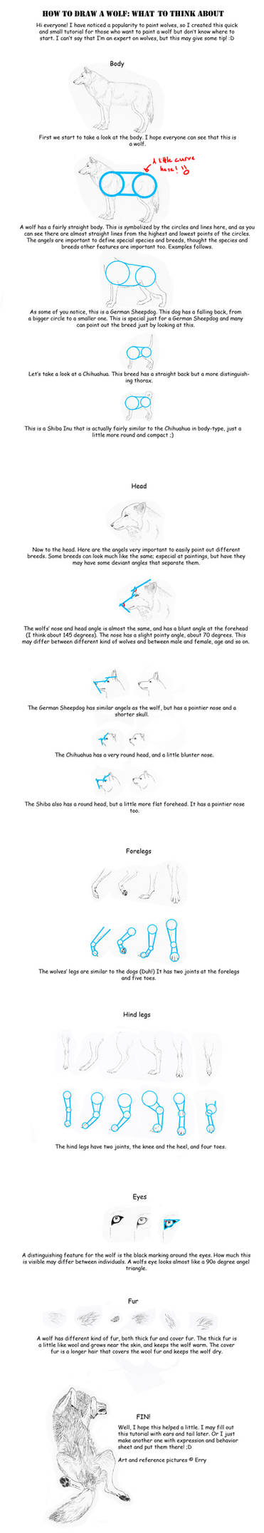 How to draw a wolf tutorial