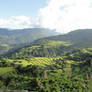 Rice Terraces, Lubuagan