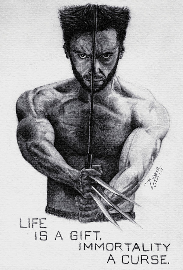 Wolverine by flowerowl on DeviantArt