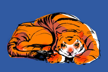 Tiger