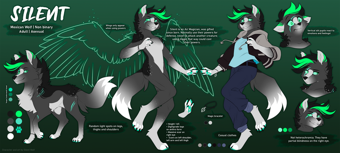 Silent reference sheet 2022