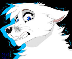 Scaredy Wolf