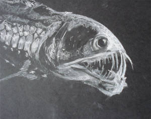 Viperfish