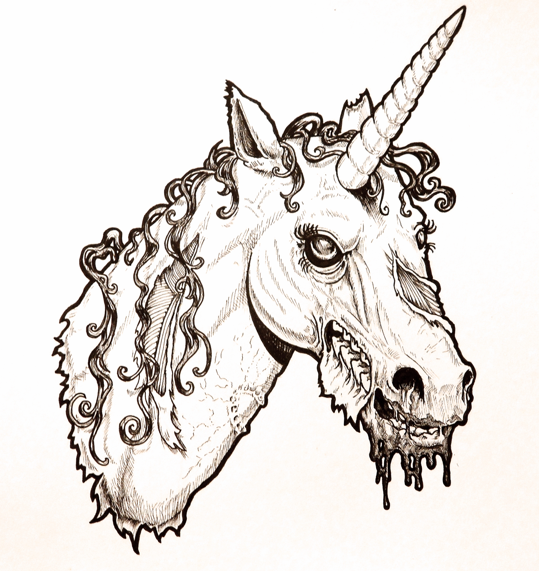 Zombie Unicorn Head by harperugby on DeviantArt