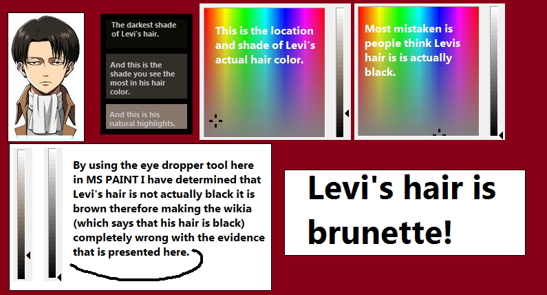 Levi's Hair Color by AngelKiller666 on DeviantArt