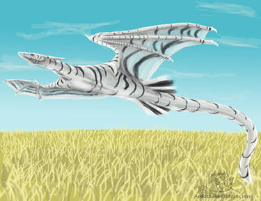 Savannah Plains dragon