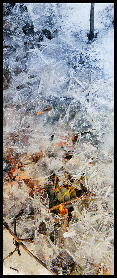 iPhoneography,  Wedged Under Ice