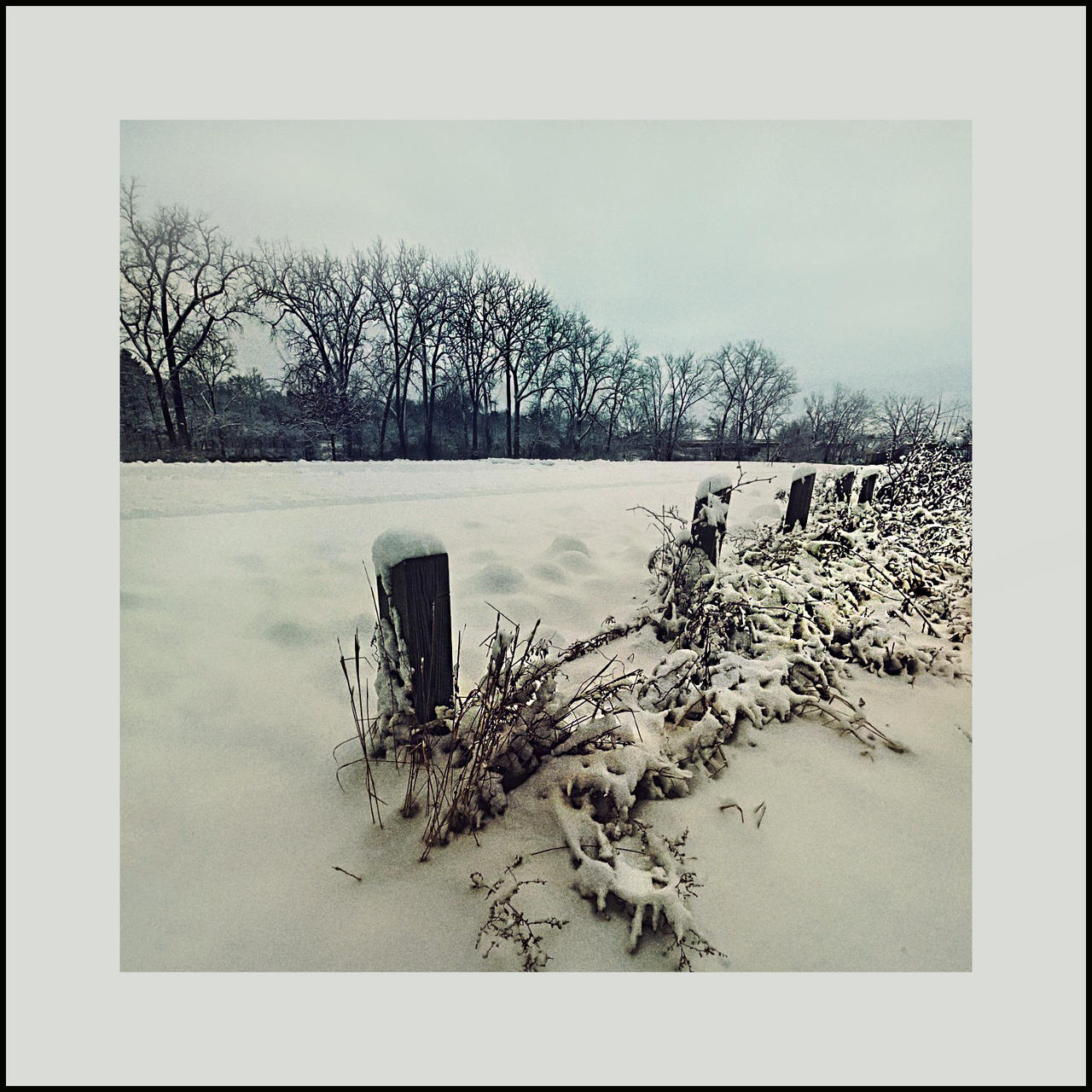 Backbone by arminmersmann2 on DeviantArt