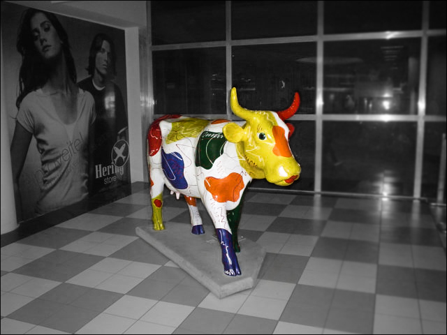 abstract cow