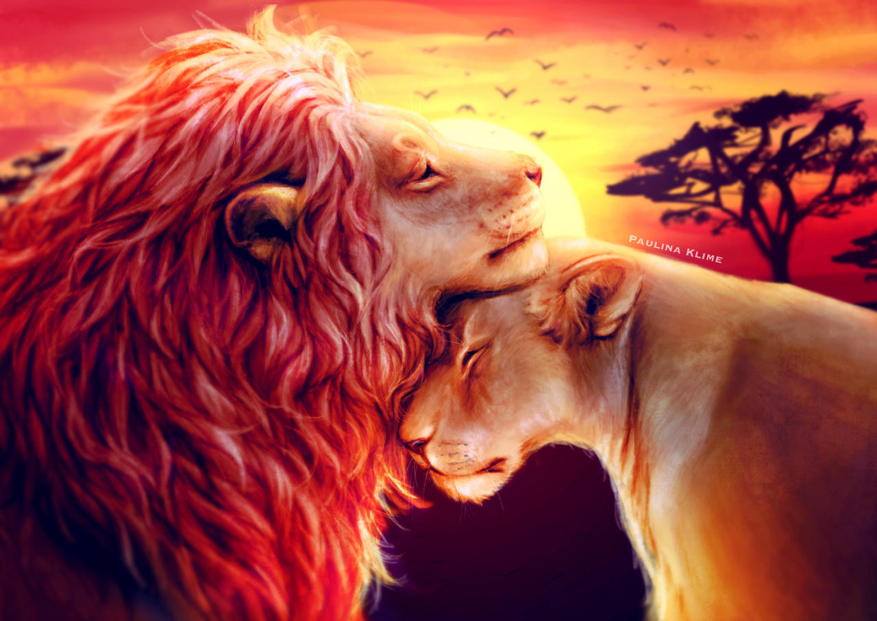The lion's love by PaulinaKlime on DeviantArt