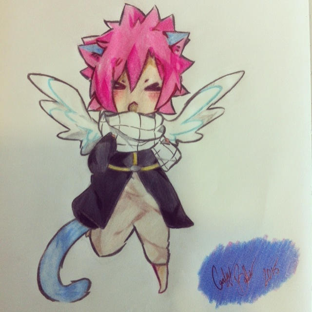 Natsu and Happy Merge! - Fairy Tail