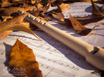 Autumn Melodies: Music for the eyes. by abravewolf