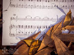 Autumn Melodies: Fallen tunes by abravewolf