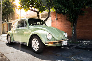 Volkswagen Beatle