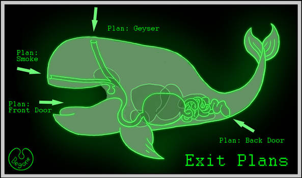 Exit Plans