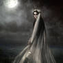 The bride of darkness