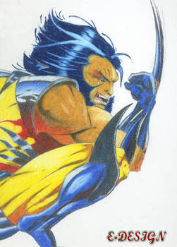 Wolverine-color pencil