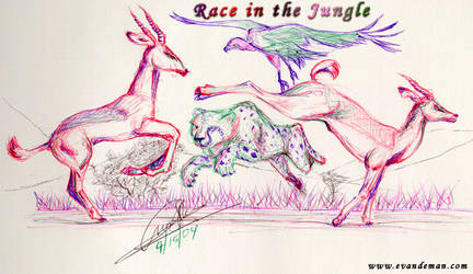 Race in the Jungle