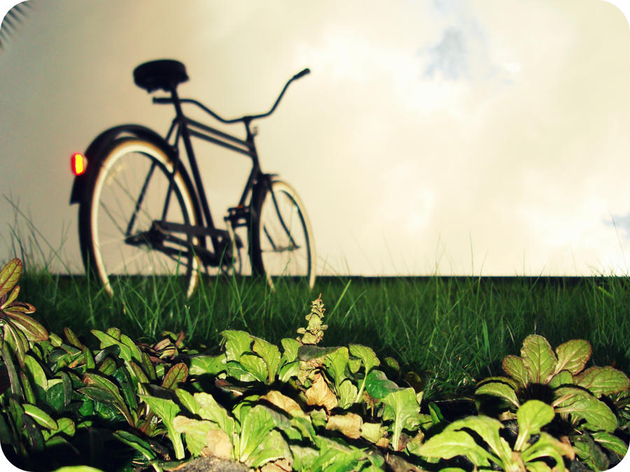 La Bicicleta con Alas