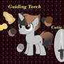 Bio: Guiding Torch