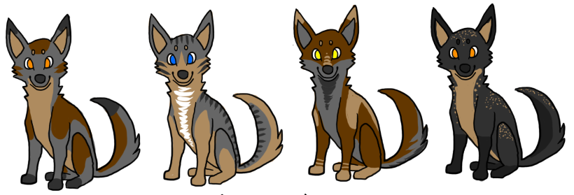 Coyotes Adoptables - (#1 left)