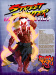 Street Fighter: Destiny - SHIN RYU