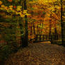 Autumn bridge 2