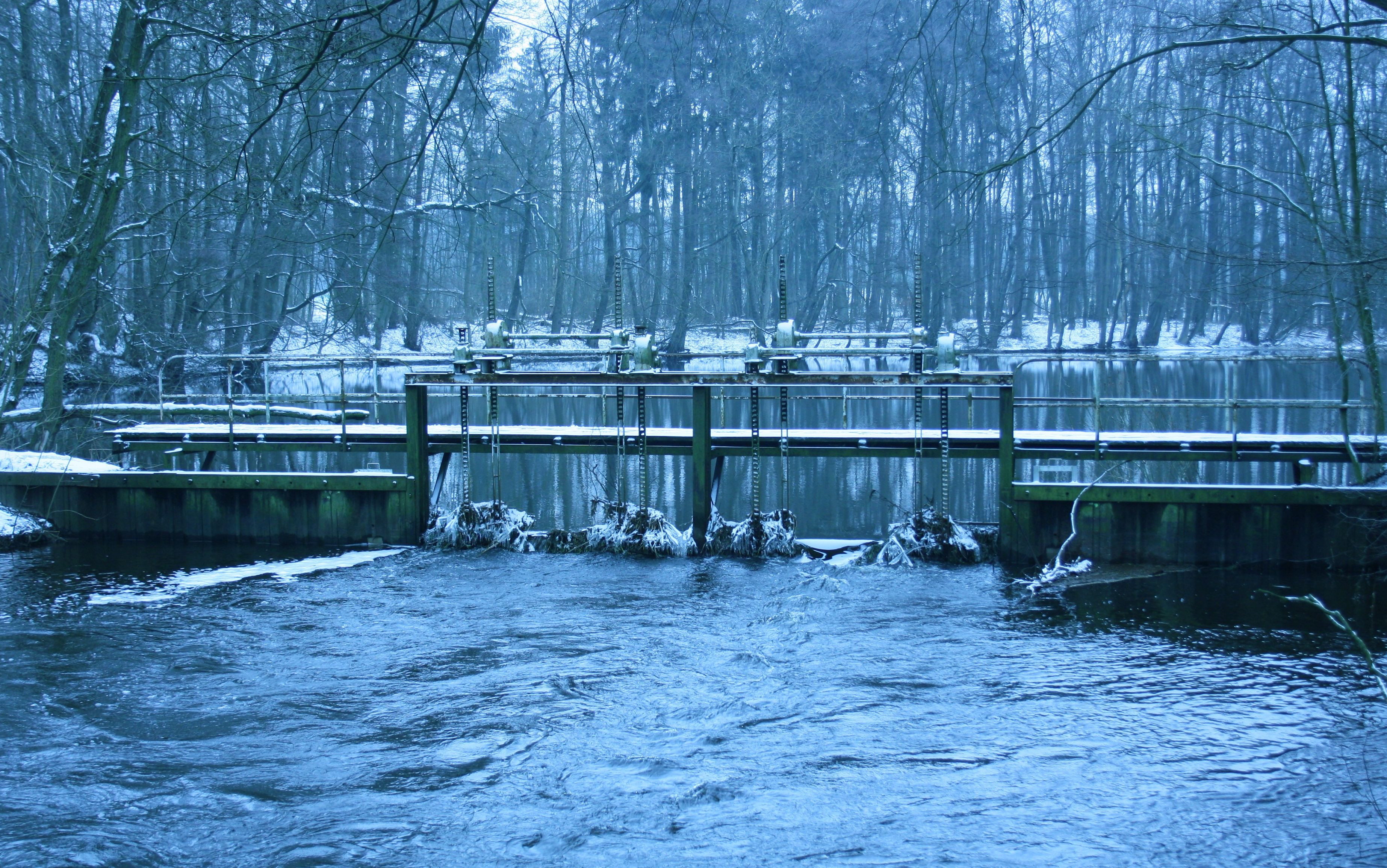 At the gates of winter