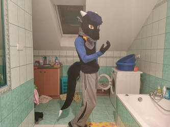 [5/5] Nighter's late fursuit friday