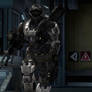 Halo Reach: Caution