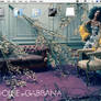 Dolce and Gabbana Screenshot