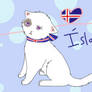 Iceland kitty