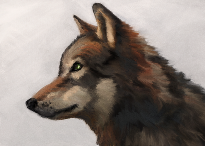 Wolf Profile 2