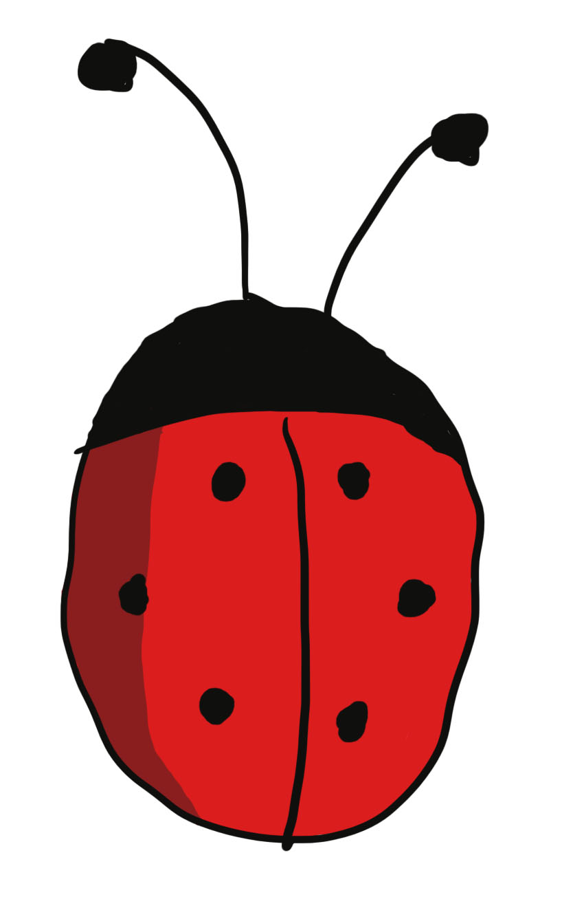 Day 12 Ladybug