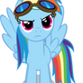 Dash and her Goggles