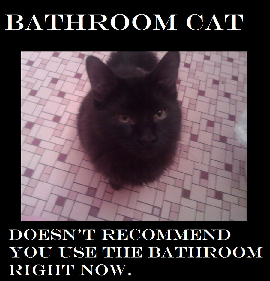 Bathroom Cat