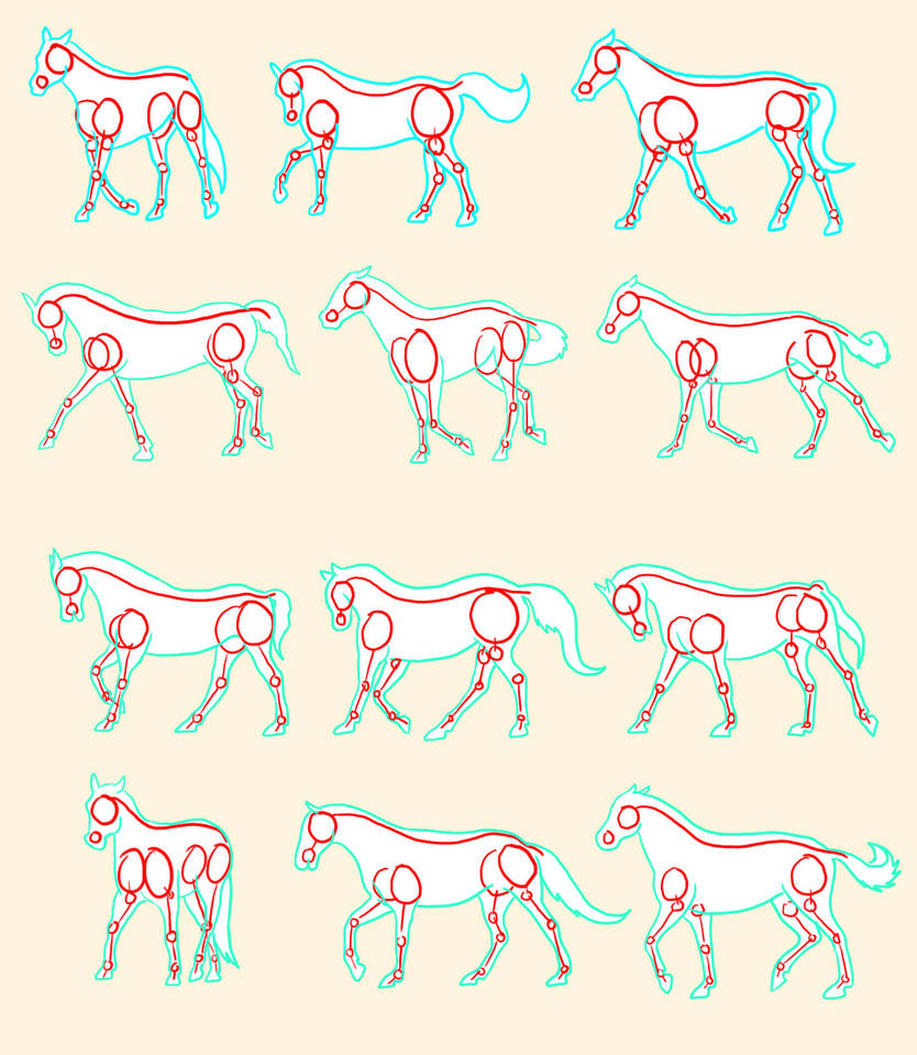 Horse Reference by Little-Bluefish on DeviantArt