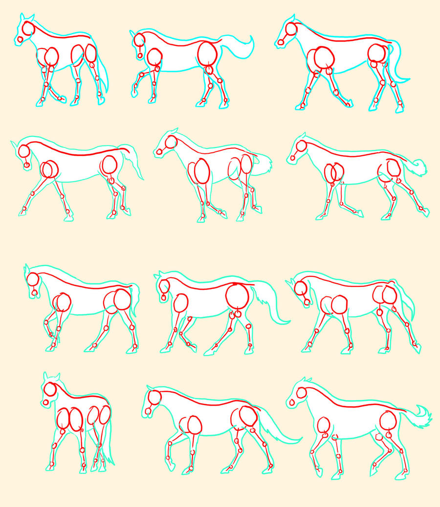 Dynamic Horse Reference Horse Reference by Little-Bluefish on DeviantArt
