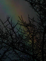 Wintery rainbow