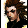 KH-HoW-- OrgXIII AXEL