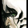BLEACH-- ULQUIORRA BOOKMARK