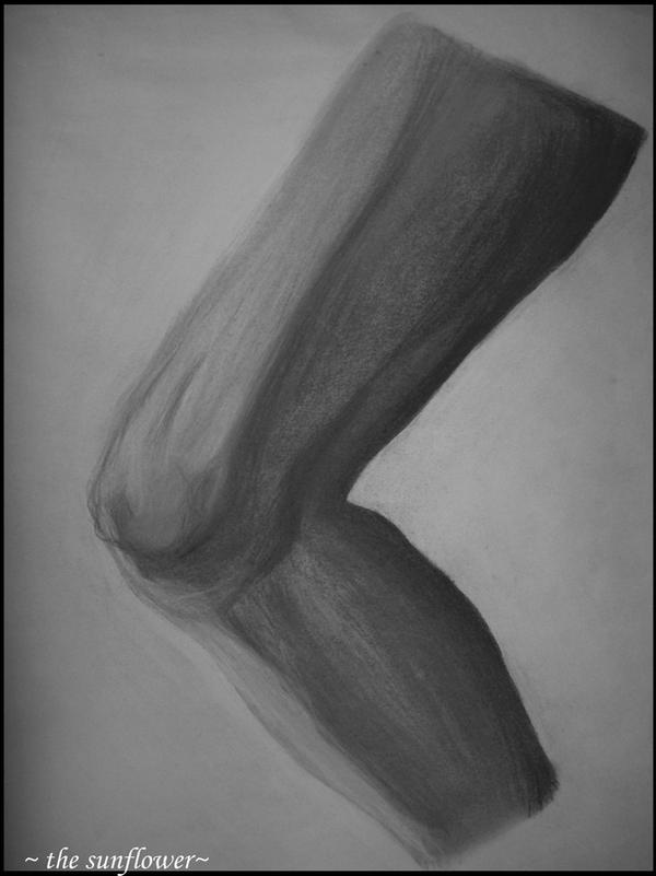 Deviantart Knees The Knee by sunflowerfusion on DeviantArt