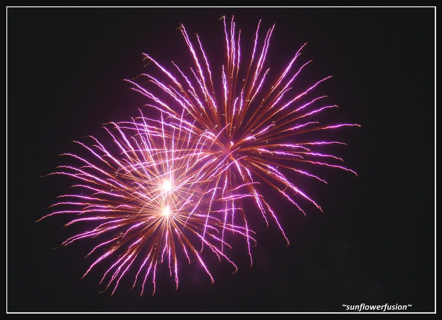 Fireworks in Palatine 2 by sunflowerfusion on DeviantArt