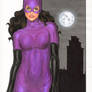 Gotham Girls : Catwoman