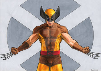 Marvel Comics Wolverine