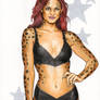 Cheetah