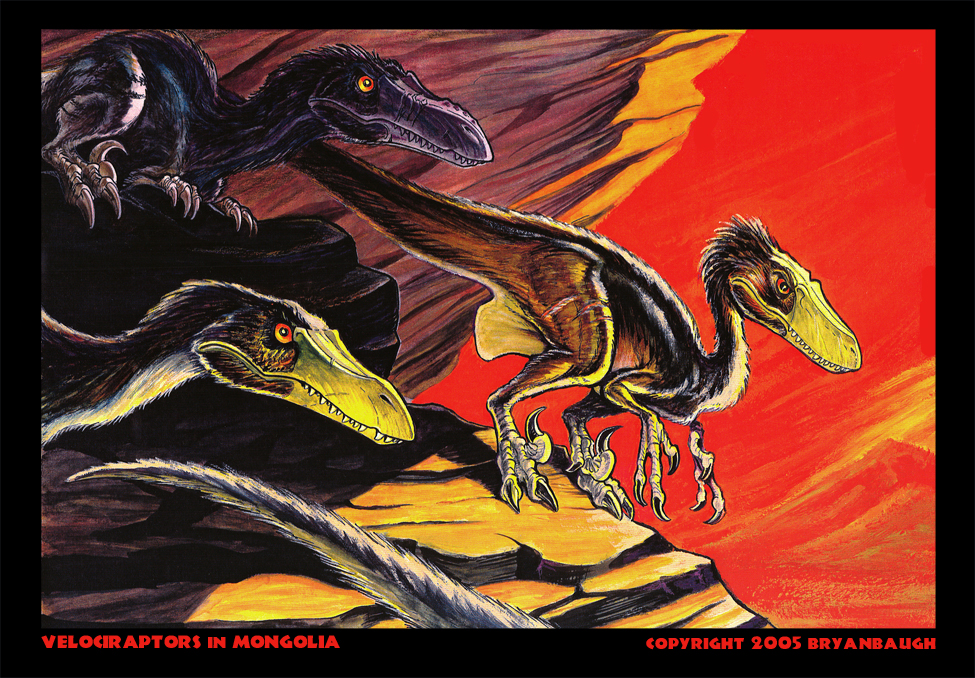 Velociraptors in Mongolia