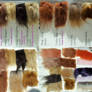 Fur Samples and Comparisons