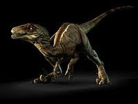 Raptor by gryphonSyntax202 on DeviantArt