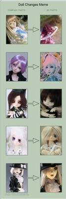 BJD Changes Meme